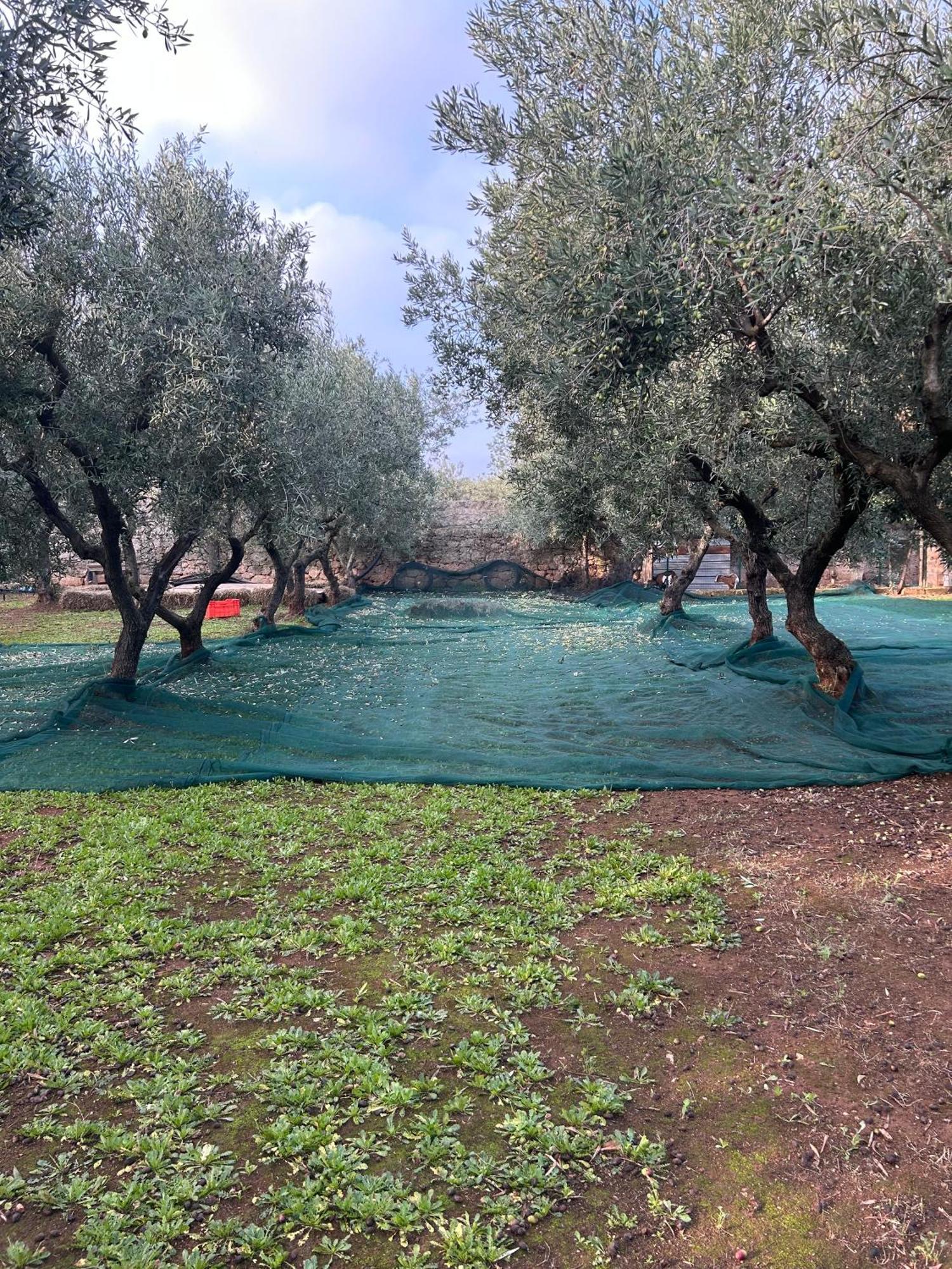 Sorelle Barnaba Country House Monopoli Exterior foto